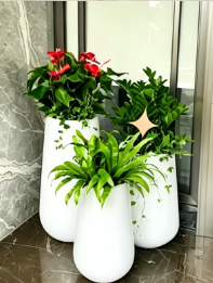 北仑花卉租赁商-杭州湾绿植租摆活动-鄞州花木租摆流行度-镇海绿植租摆